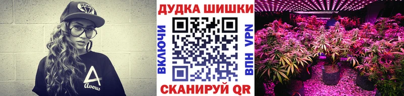 Марихуана планчик hydra маркетплейс Тихвин